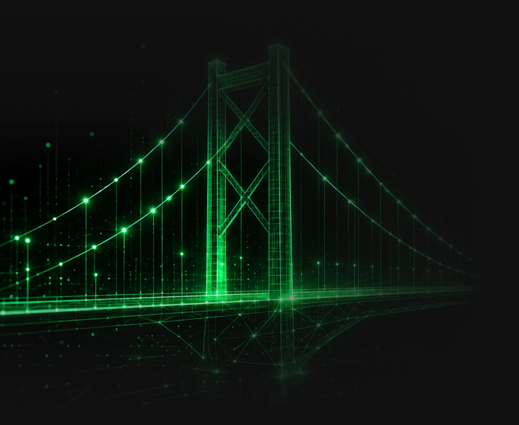 Networked bridge illustration